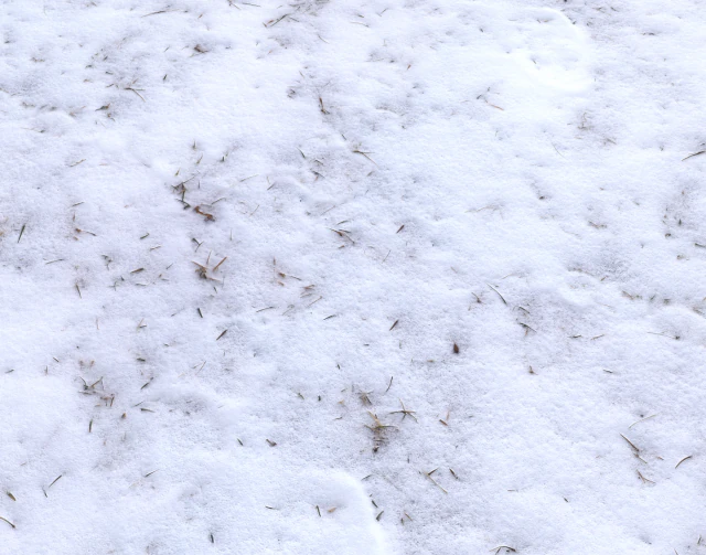 snow terrain pbr pack 4 CG Textures .c4d .max .obj .3ds .fbx .stl .blend 