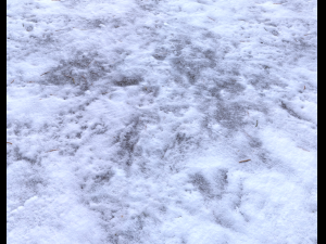 snow terrain pbr pack 4 CG टेक्स्चर्स