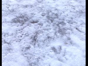 snow terrain pbr pack 4 CG Textures