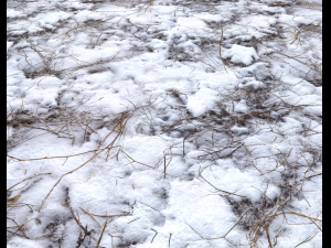 snow terrain pbr pack 4 CG टेक्स्चर्स