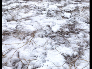 snow terrain pbr pack 4 CG Textures