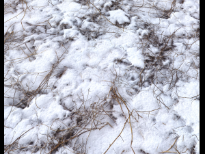 snow terrain pbr pack 4 CG टेक्स्चर्स