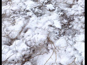 snow terrain pbr pack 4 CG Textures