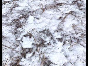 snow terrain pbr pack 4 CG Textures
