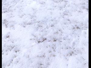 snow terrain pbr pack 4 CG टेक्स्चर्स