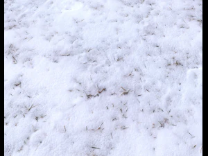 snow terrain pbr pack 4 CG Textures