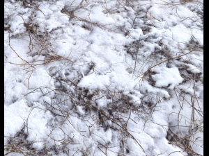 snow terrain pbr pack 4 CG टेक्स्चर्स