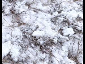 snow terrain pbr pack 4 CG Textures