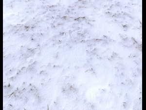snow terrain pbr pack 4 CG टेक्स्चर्स