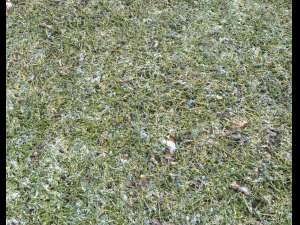 snow terrain pbr pack 5 CG Textures
