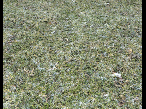 snow terrain pbr pack 5 CG Textures
