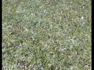 snow terrain pbr pack 5 CG Textures