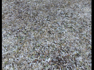 snow terrain pbr pack 5 CG Textures