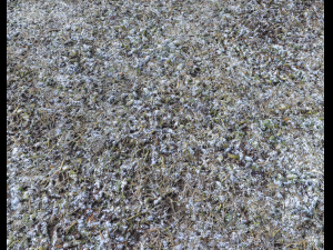 snow terrain pbr pack 5 CG Textures