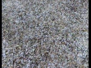 snow terrain pbr pack 5 CG Textures