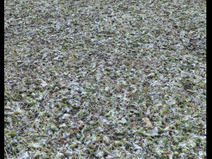 snow terrain pbr pack 5 CG Textures