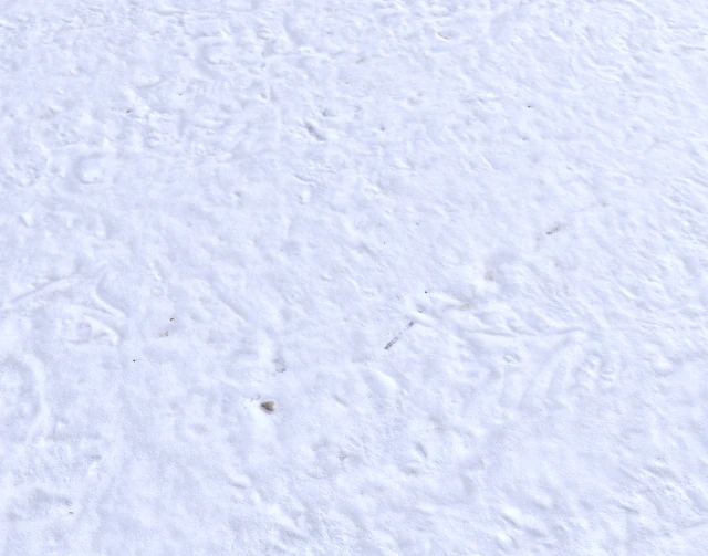 snow terrain pbr pack 6 CG Textures .c4d .max .obj .3ds .fbx .stl .blend