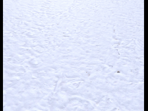 snow terrain pbr pack 6 CG Textures