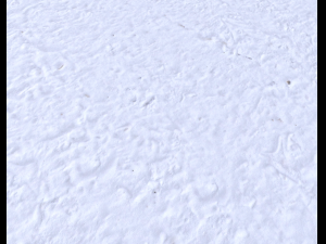 snow terrain pbr pack 6 CG Textures