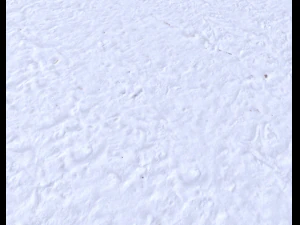 snow terrain pbr pack 6 CG Textures