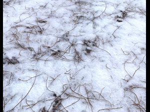 snow terrain pbr pack 6 CG Textures