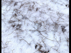 snow terrain pbr pack 6 CG Textures