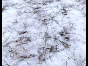 snow terrain pbr pack 6 CG Textures