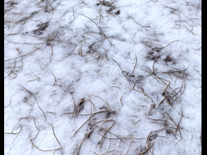 snow terrain pbr pack 6 CG Textures