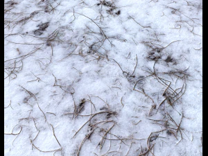 snow terrain pbr pack 6 CG Textures