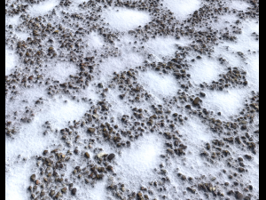 snow terrain pbr pack 6 CG Textures