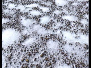 snow terrain pbr pack 6 CG Textures