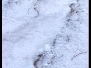 snow terrain pbr pack 6 CG Textures