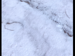 snow terrain pbr pack 6 CG Textures
