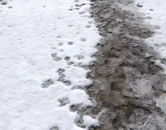 snow terrain pbr pack 7 CG Textures .c4d .max .obj .3ds .fbx .stl .blend 