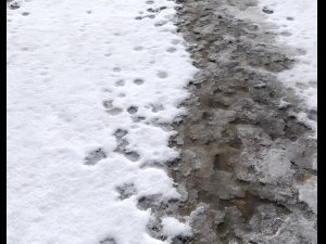 snow terrain pbr pack 7 CG テクスチャ