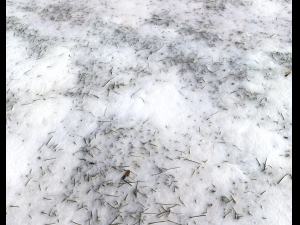 snow terrain pbr pack 7 CG Textures