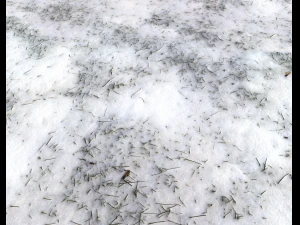snow terrain pbr pack 7 CG Textures