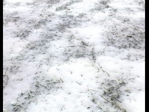 snow terrain pbr pack 7 CG Textures