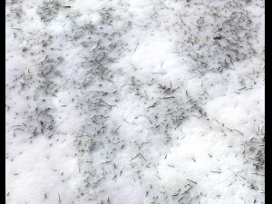 snow terrain pbr pack 7 CG Textures