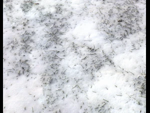 snow terrain pbr pack 7 CG Textures