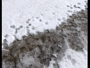 snow terrain pbr pack 7 CG Textures