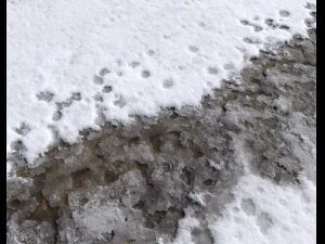 snow terrain pbr pack 7 CG Textures
