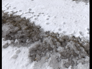 snow terrain pbr pack 7 CG Textures