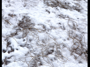 snow terrain pbr pack 7 CG Textures