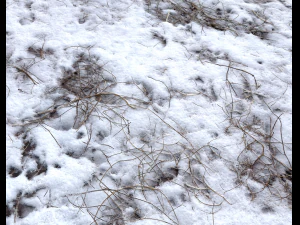 snow terrain pbr pack 7 CG Textures