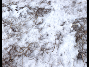 snow terrain pbr pack 7 CG Textures