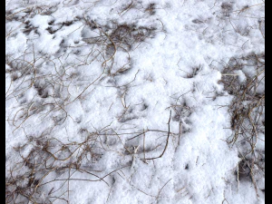 snow terrain pbr pack 7 CG Textures