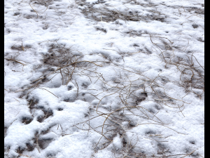snow terrain pbr pack 7 CG Textures