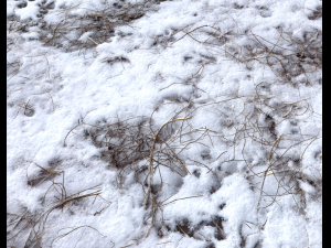 snow terrain pbr pack 7 CG Textures