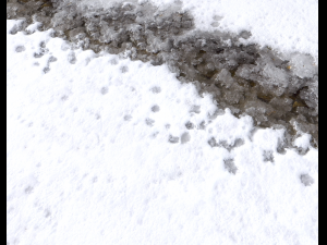 snow terrain pbr pack 7 CG Textures